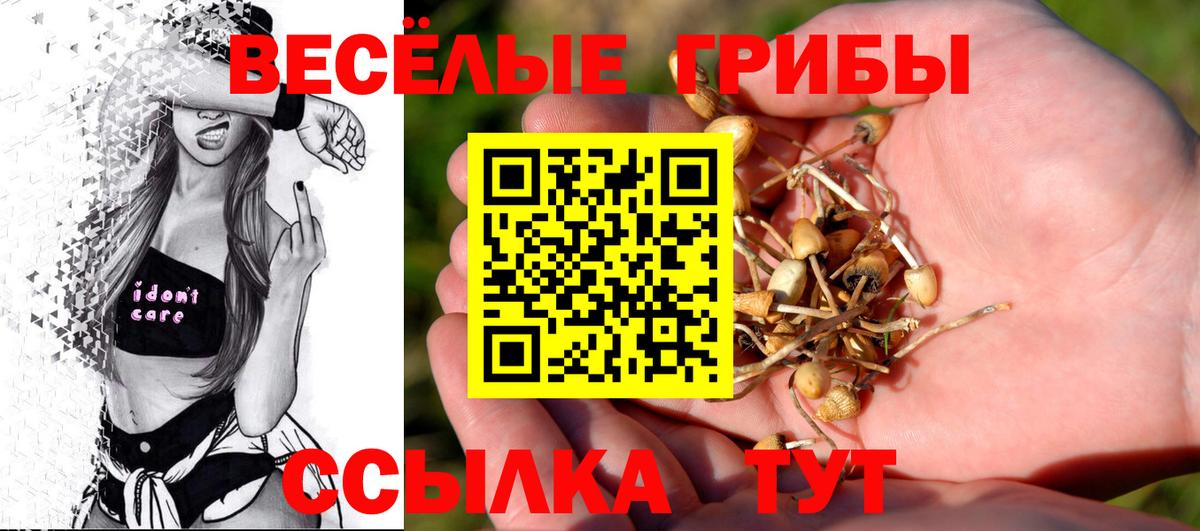 Псилоцибиновые грибы прущие грибы  Вход с VPN  Лиски  Псилоцибиновые грибы ЛСД 